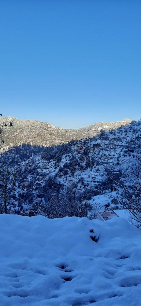 Sejal Homestay Shimla 