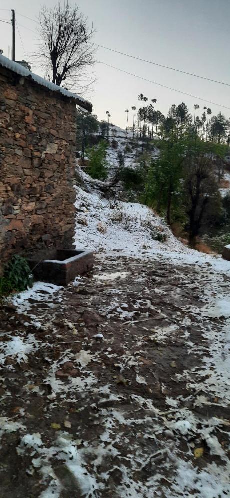 Sejal Homestay Shimla 