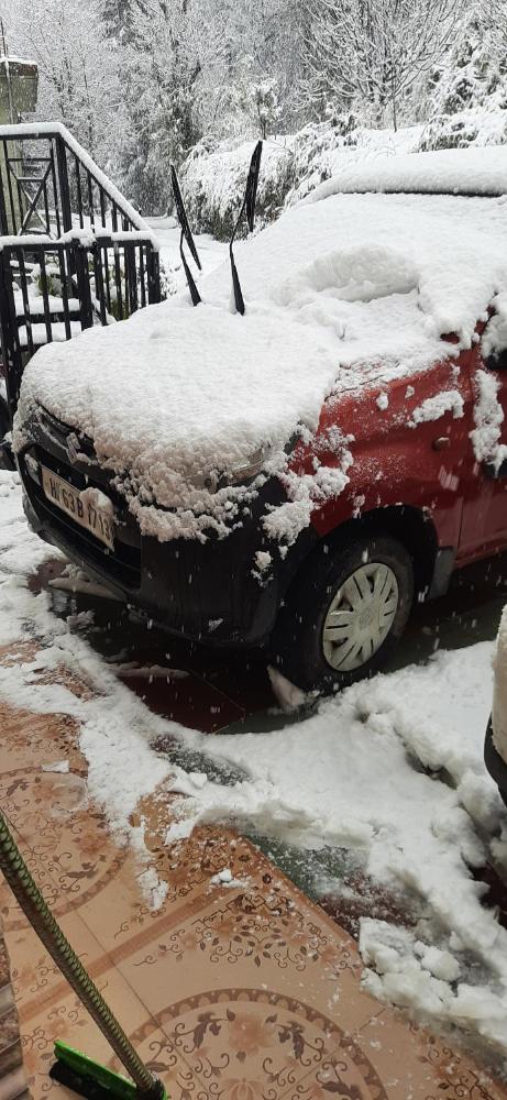 Sejal Homestay Shimla 