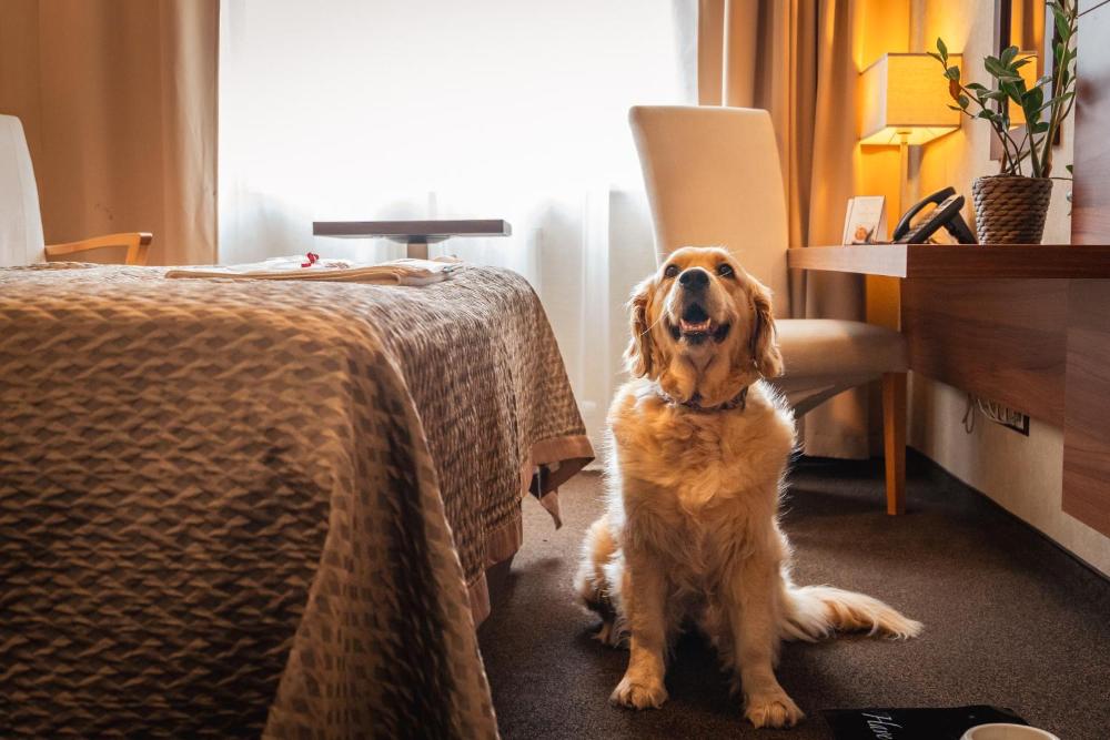 premium business hotel bratislava