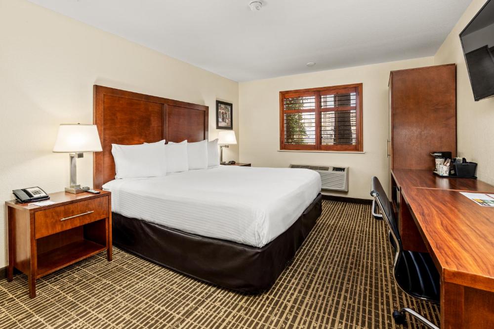 Room Image 4