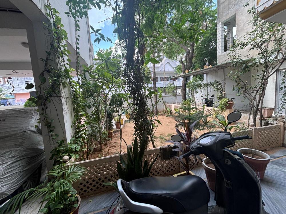 Jaipur Homestay