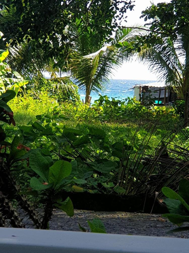 Vibes and Dives Photo 4