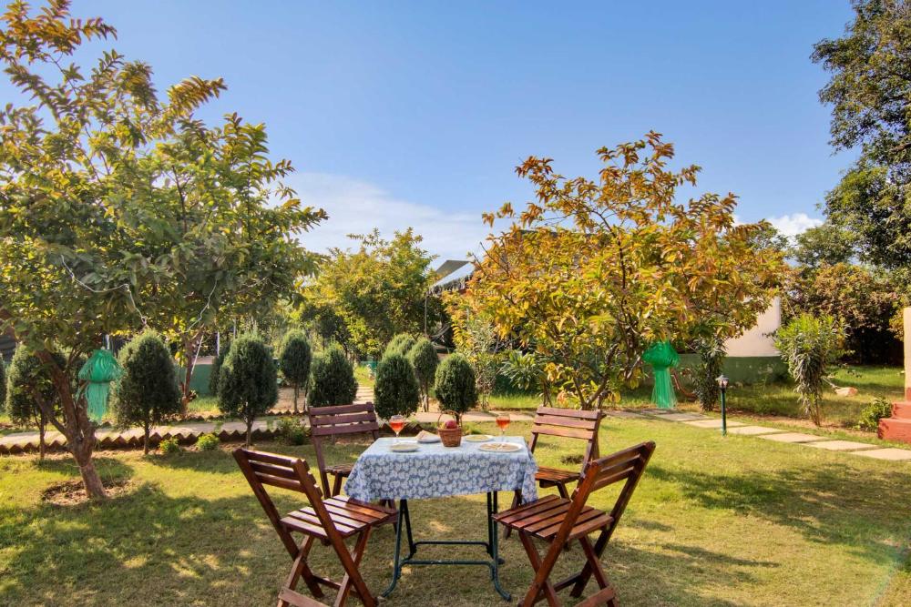 Jungle Book Ranthambore
