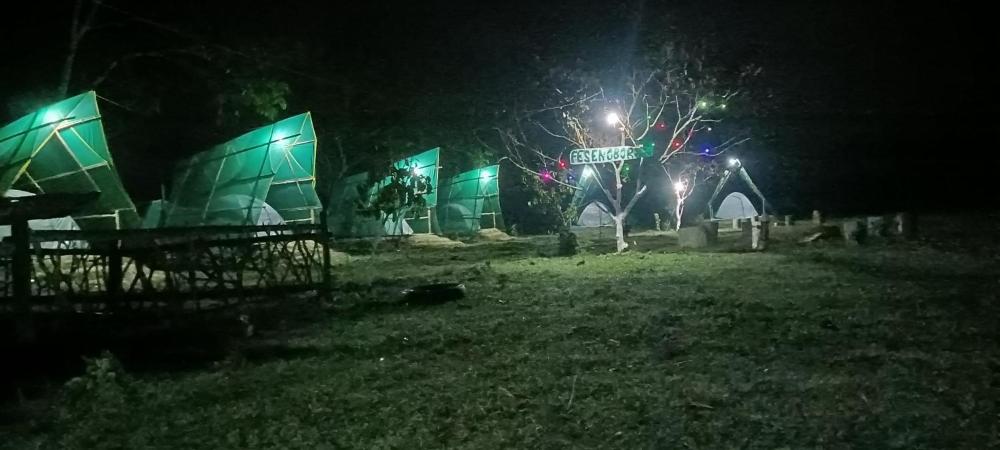 Fesengbor eco camp