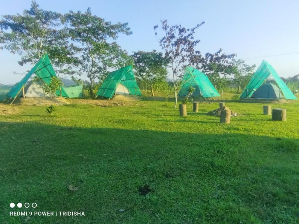 Fesengbor eco camp
