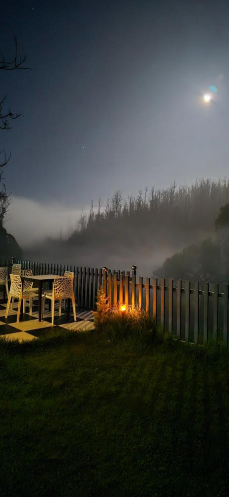 RR Forest view