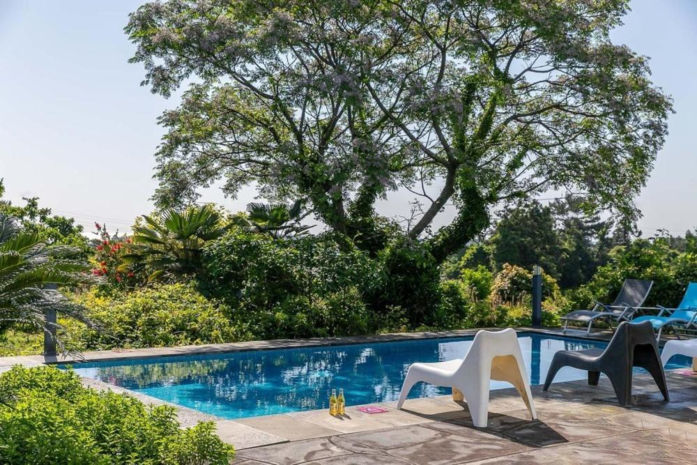 jeju color in jeju pension