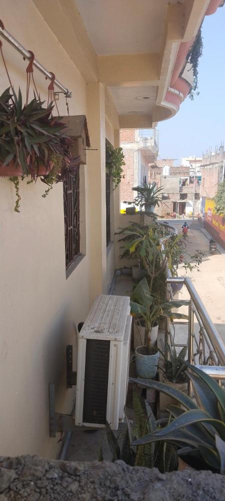 Tripathi homestay