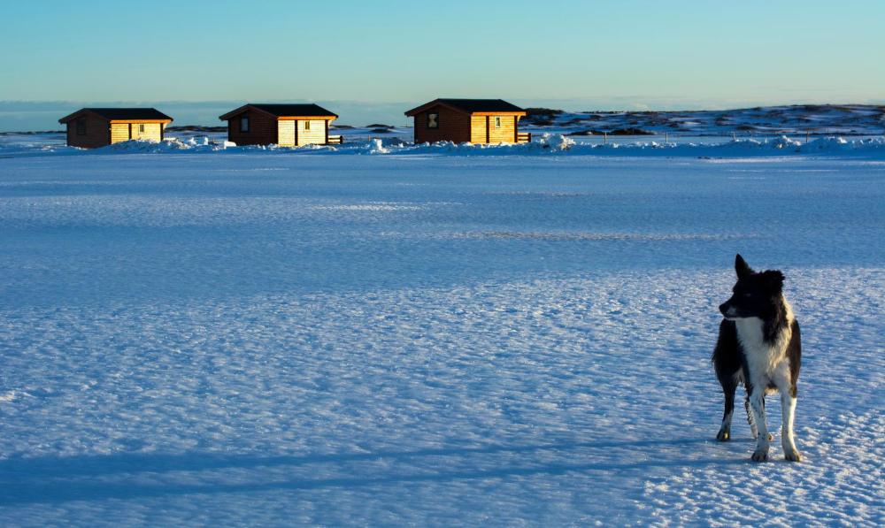 Mid Hvoll Cottages Prices Photos Reviews Address Iceland