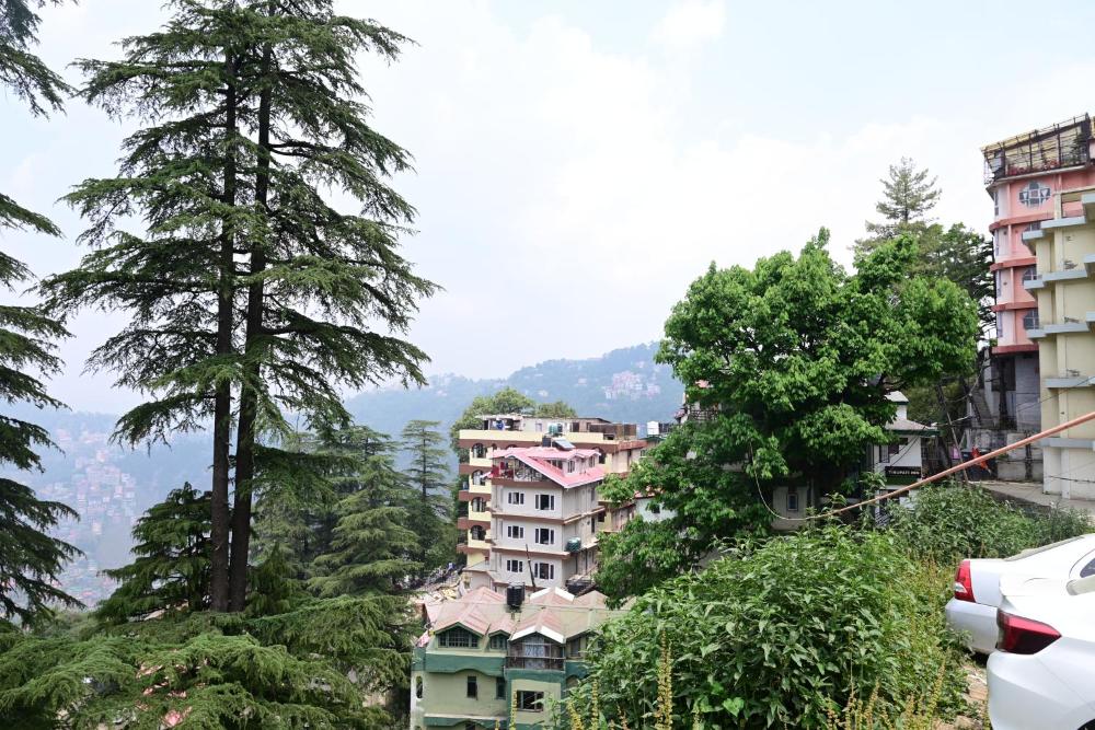 Hotel Tirupati Regency Anandam