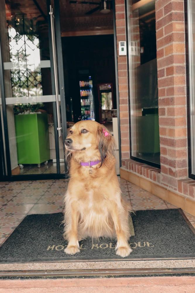 bunde haus hotel boutique express