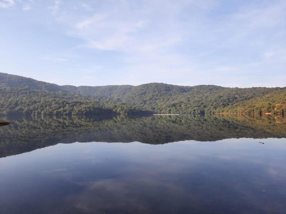 Aaranya Fo-rest Homestay, Amba