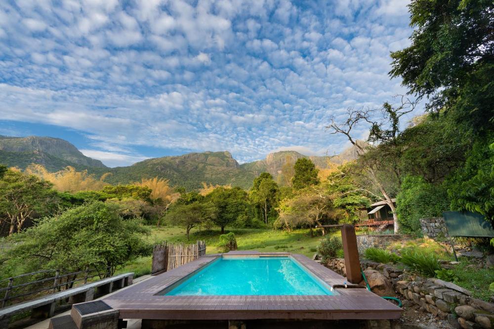 Jungle Hut, Masinagudi