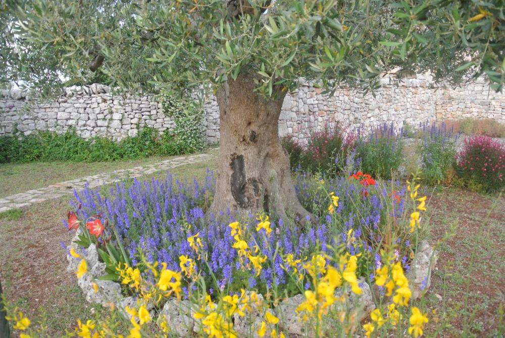 Foto - Trulli Paparale