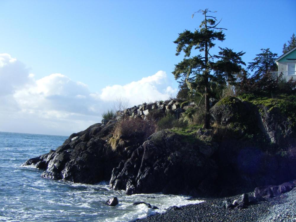 Orca View Cottage Prices Photos Reviews Address Canada