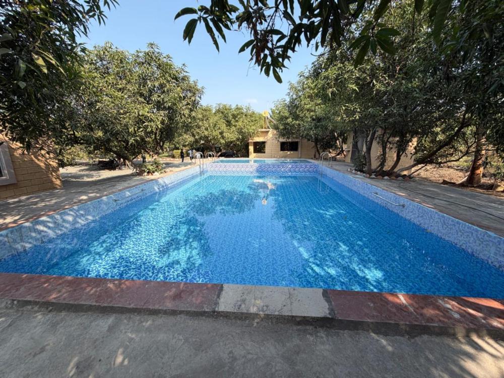 The Gir View Resort