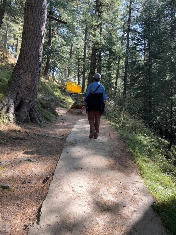 The Panorama Retreat, Manali