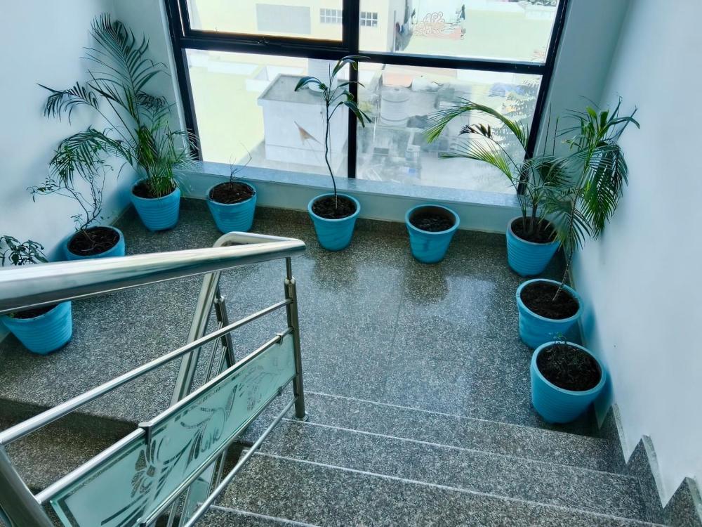Hotel Mansi Palace