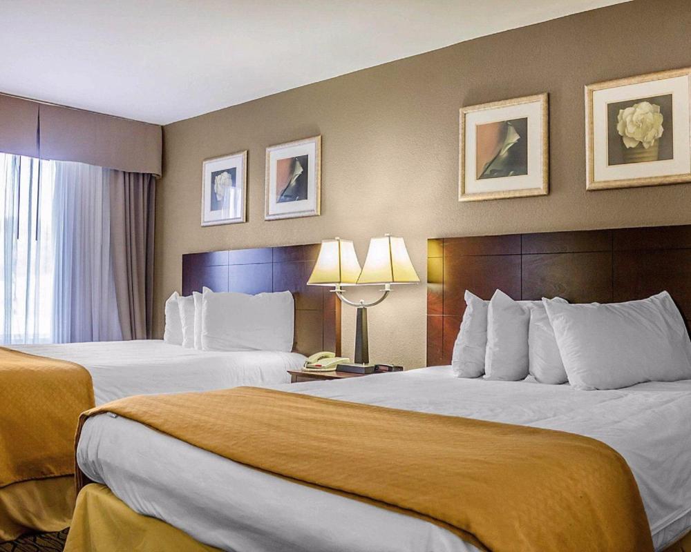 Room Image 2