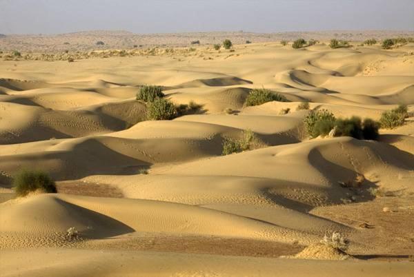 Mariyan Desert Safari Camp