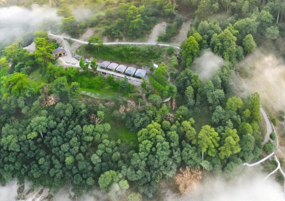Palki Camps and Resorts