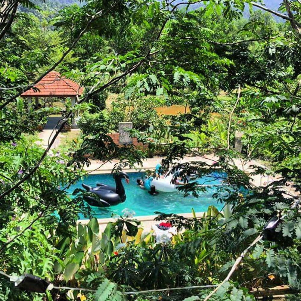 D Sarang Retreat Prices Photos Reviews Address Malaysia