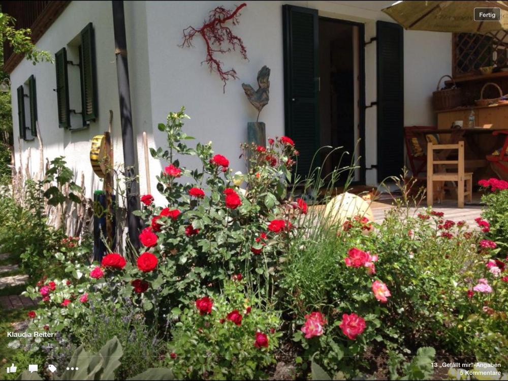 Haus Frieda Prices Photos Reviews Address Austria