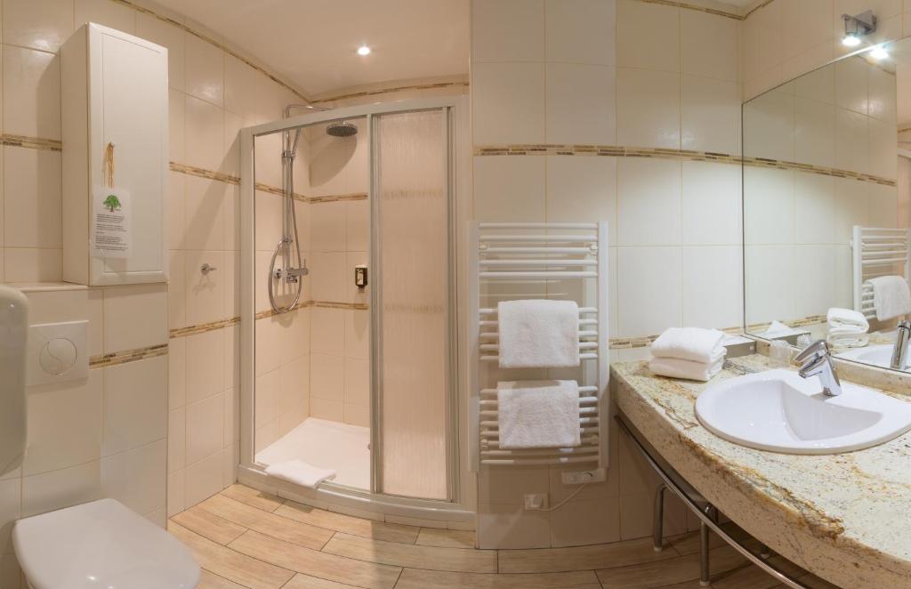 Двухместный (Стандартный двухместный номер с 1 кроватью), Hôtel Bella Vista