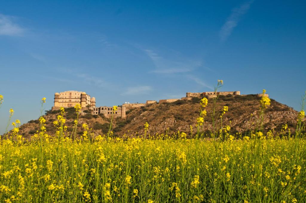 Neemrana's - Tijara Fort Palace photo 4