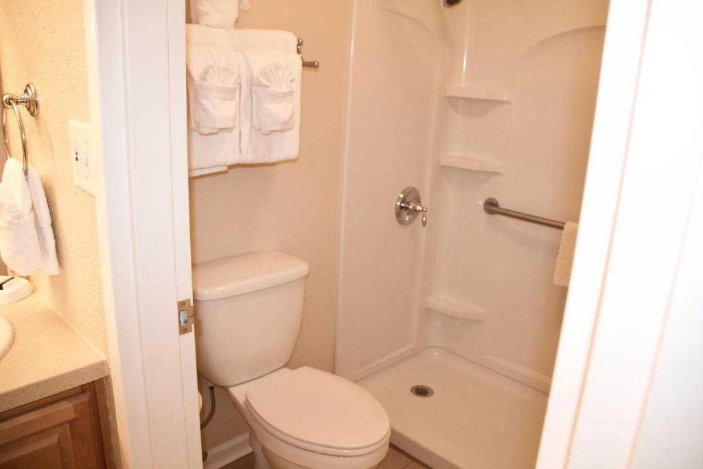 Сьюит (Люкс с 2 спальнями), Magic Tree Resort