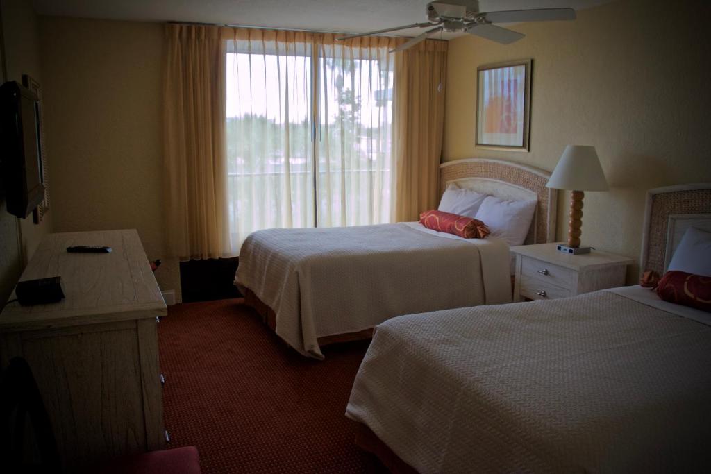 Сьюит (Люкс с 2 спальнями), Magic Tree Resort