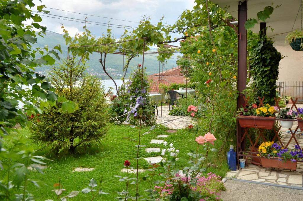 Apartments Villa Saray photo 3