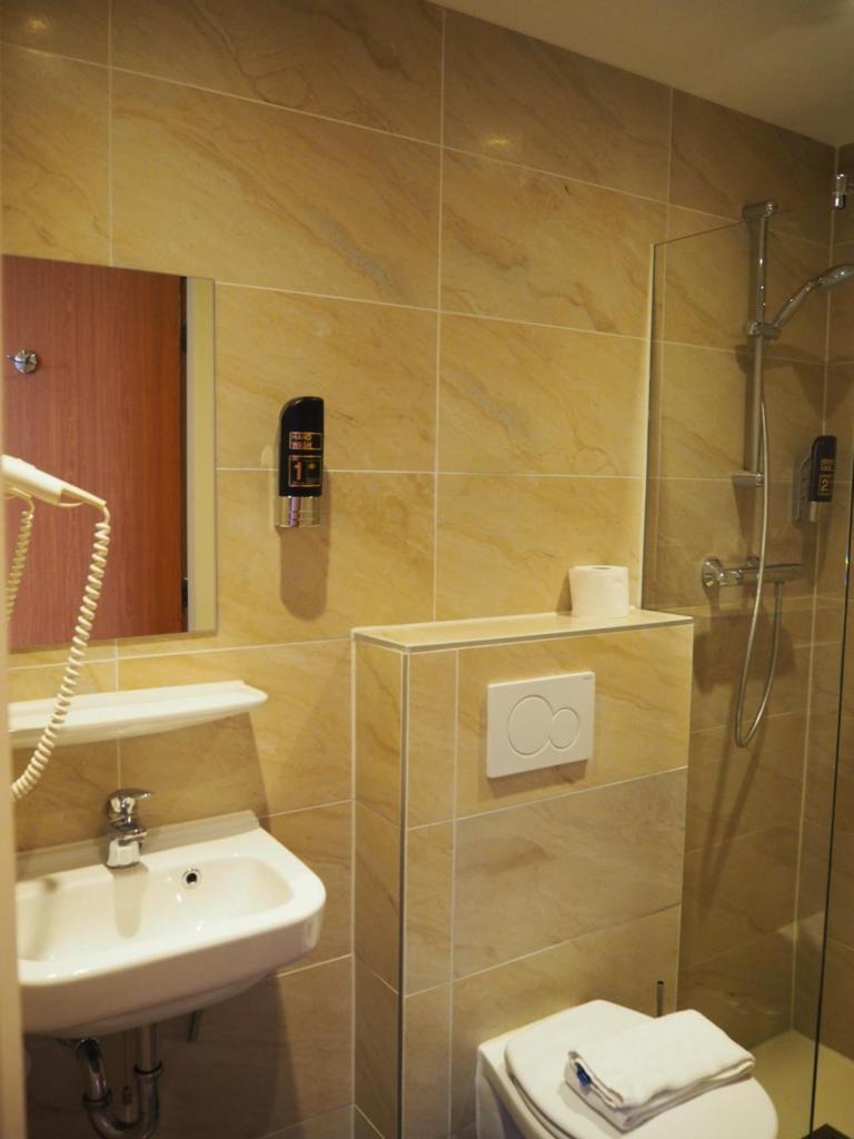 Двухместный (Стандартный двухместный номер с 1 кроватью), Hotel Blossoms City