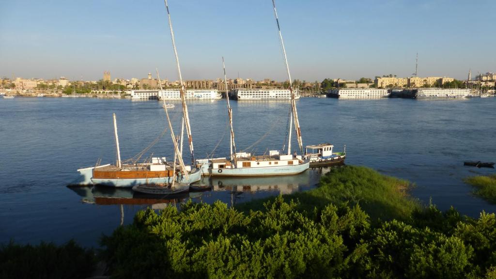 Terrasses et Jardins sur le Nil chez Hagag rive Ouest Room Type - Apartment - Ground Floor