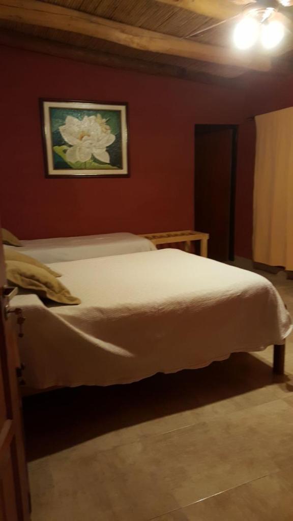 Los Colorados Hostal photo 3