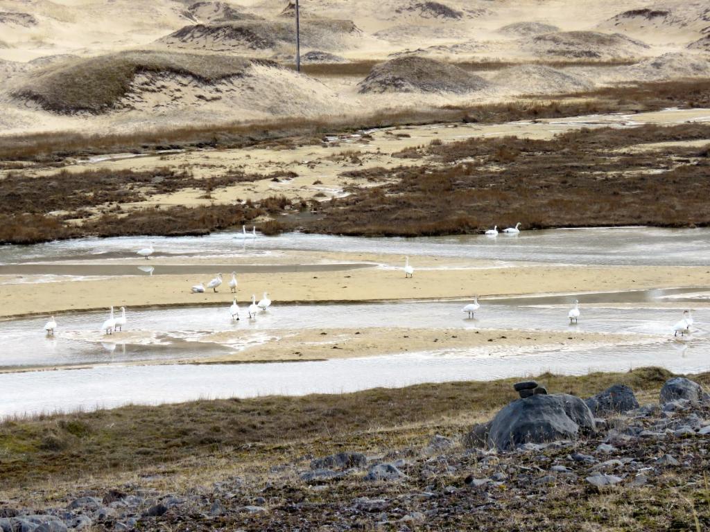 Stekkar 23 photo 2