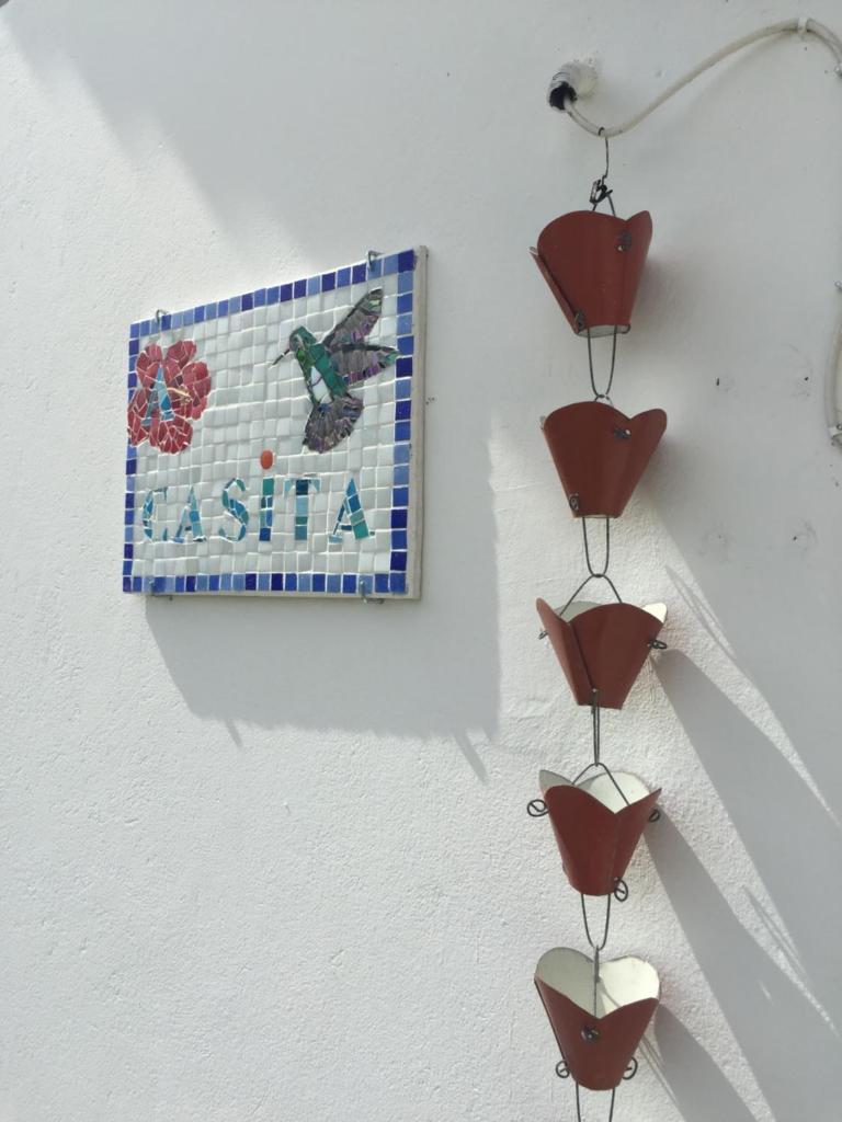 Les Gîtes de CASITA By kreyol animal photo 1