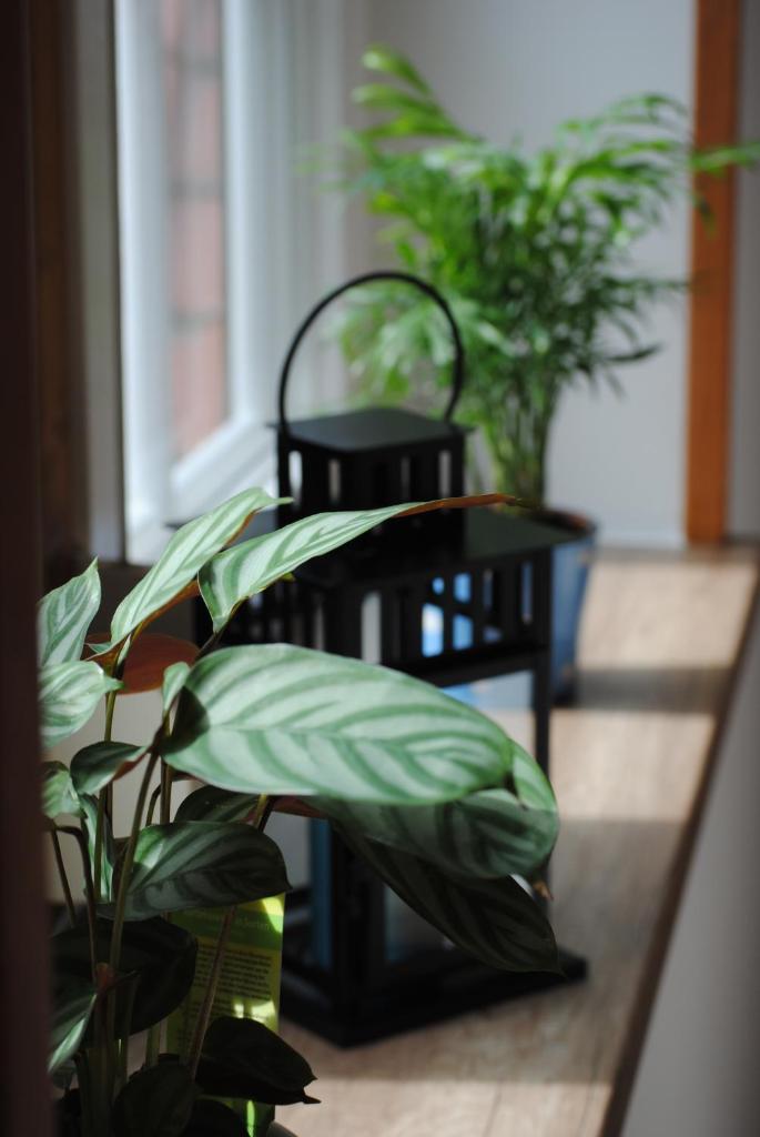 Ferienwohnung An der Gramme photo 4