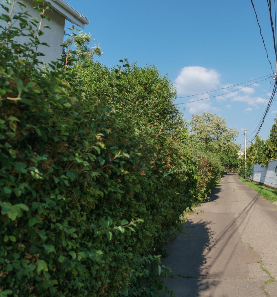 Authentic Odessa Dacha photo 3