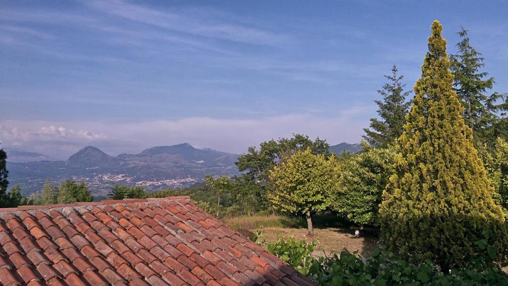 Agriturismo Collevento photo 3