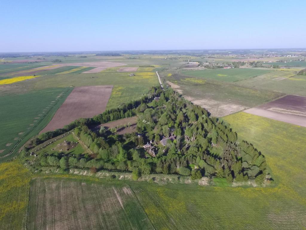 Orvidų sodyba photo 1