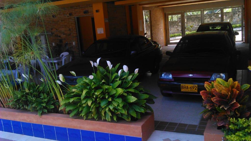 Hotel Tropico Real Mesitas photo 4