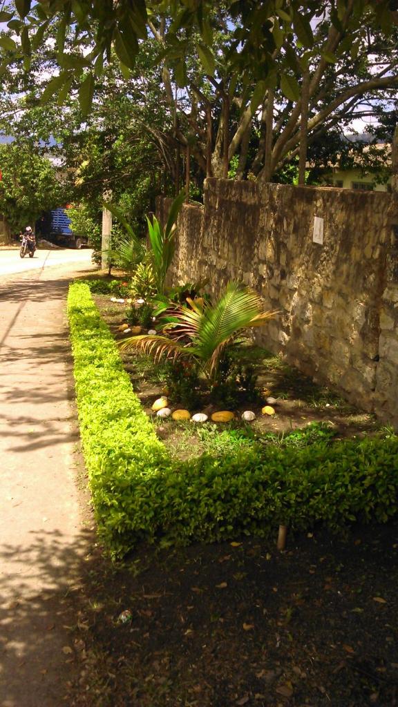 Hotel Tropico Real Mesitas photo 3