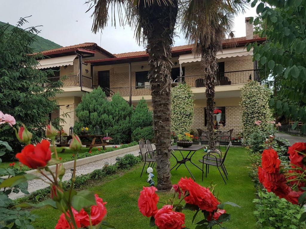 Guest House Vaso photo 2