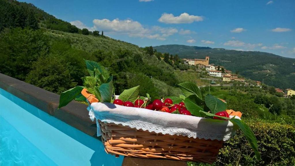 Podere Gianpaolo photo 4