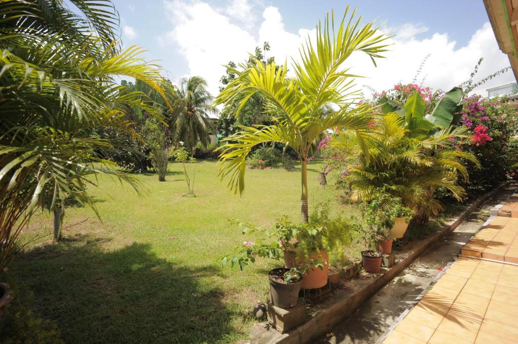 Au Domaine Des Bougainvilliers photo 3