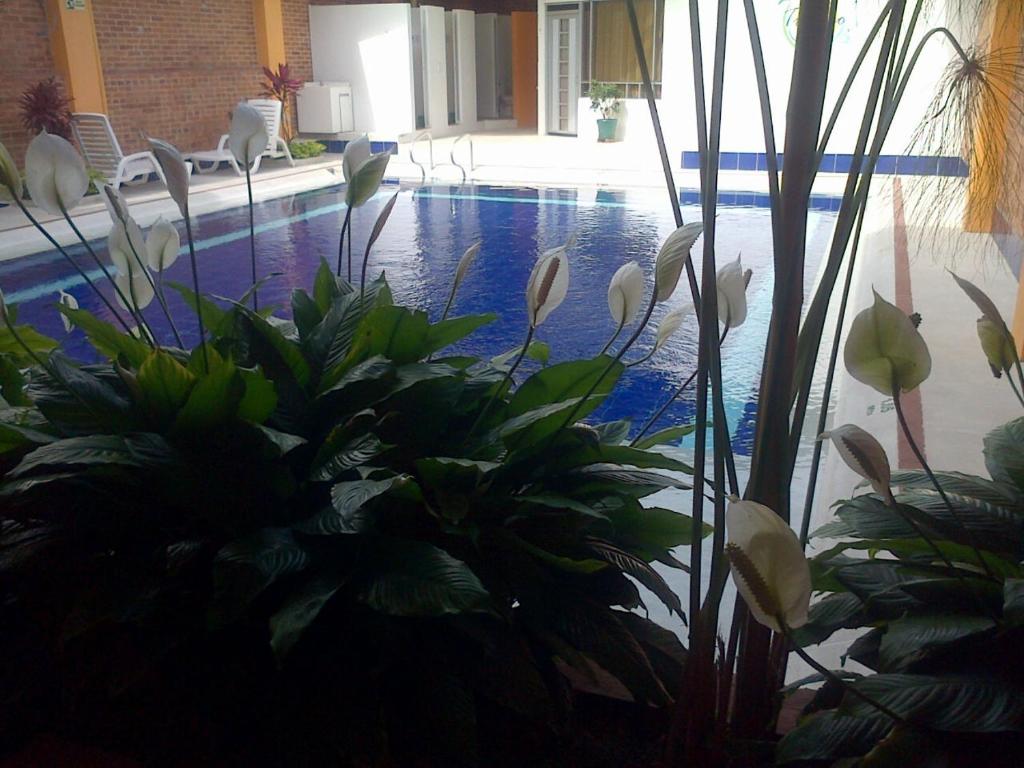 Hotel Tropico Real Mesitas photo 2