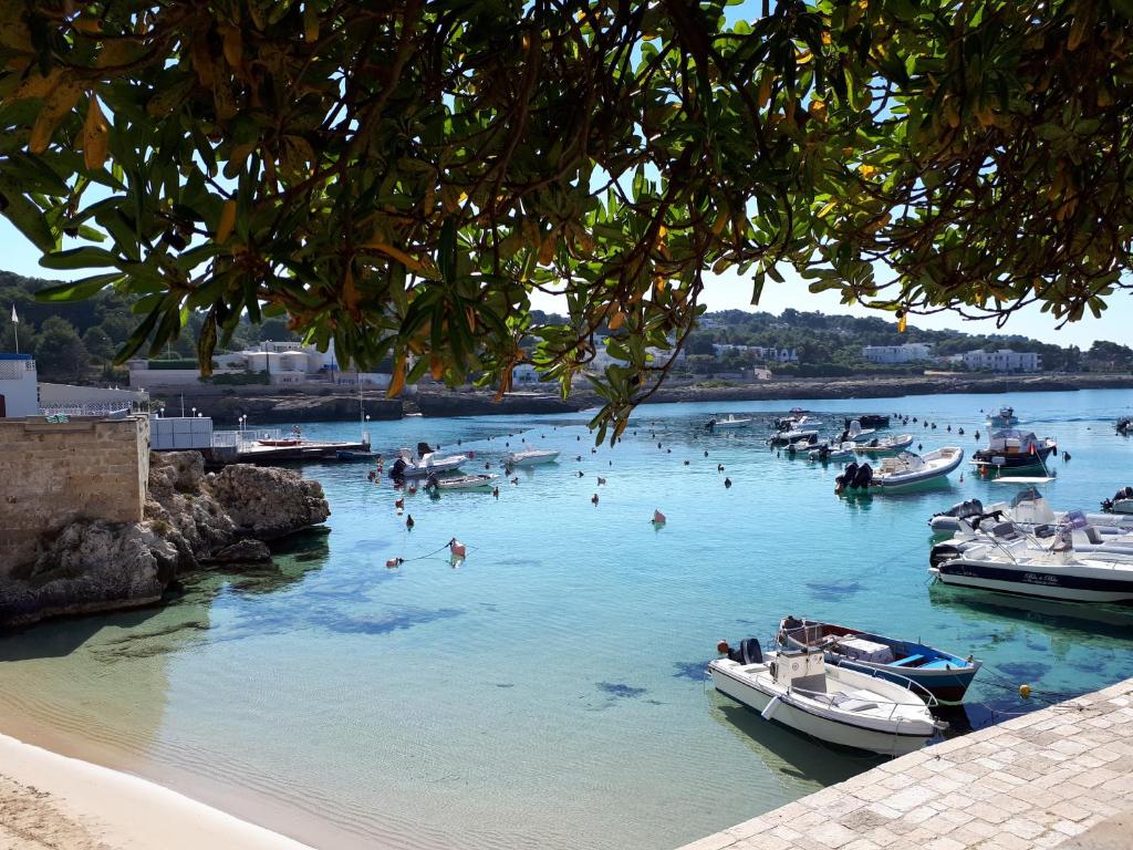 Torre dell'Alto apartment photo 4