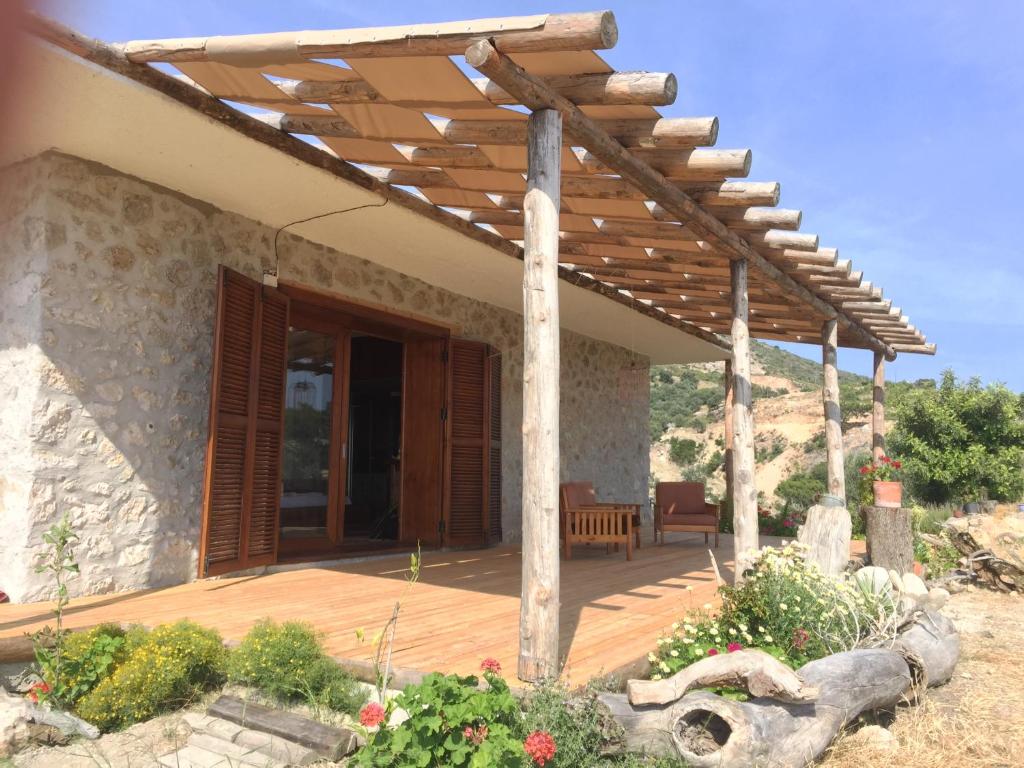 Beso Patara photo 1